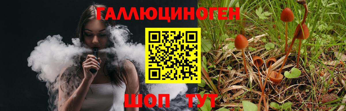Псилоцибиновые грибы прущие грибы  Вход с VPN  Пугачёв 